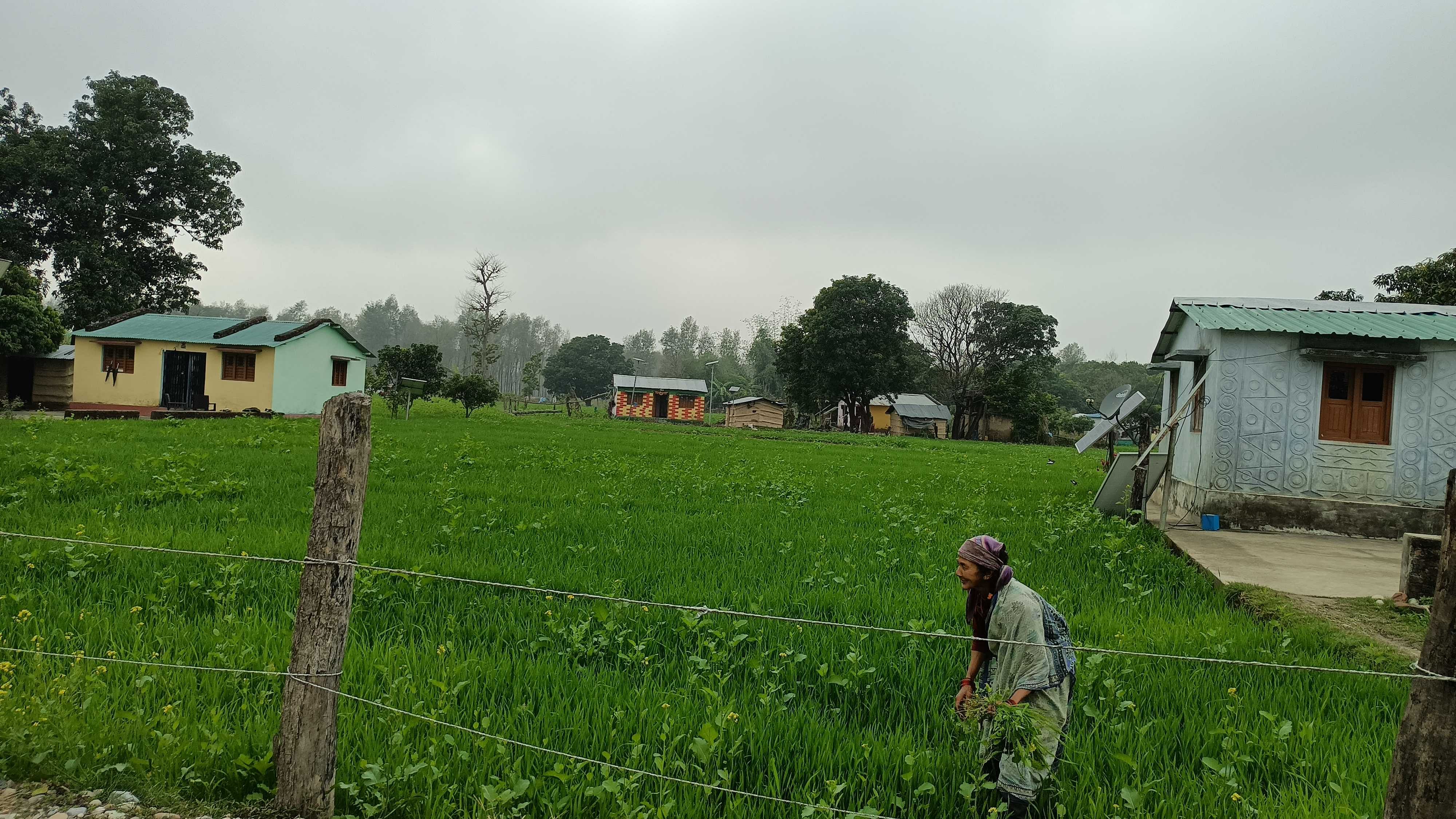 Fermes et granges du village de Thapliyalkheda.  Agence de presse Samvad