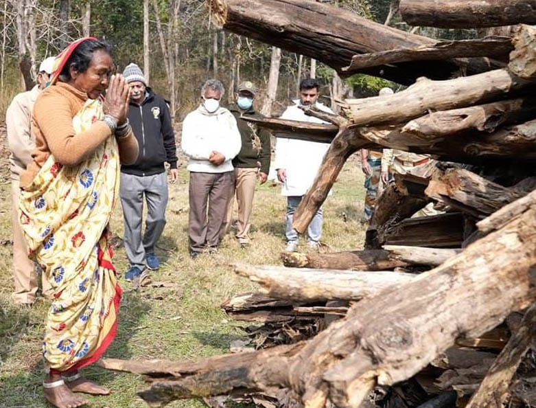 बांदाः बाघिन की चिता को मुखाग्नि देने से पूर्व श्रद्धांजलि देती आदिवासी महिला शांता बाई। संवाद बांदाः बाघिन की चिता को मुखाग्नि देने से पूर्व श्रद्धांजलि देती आदिवासी महिला शांता बाई। संवाद