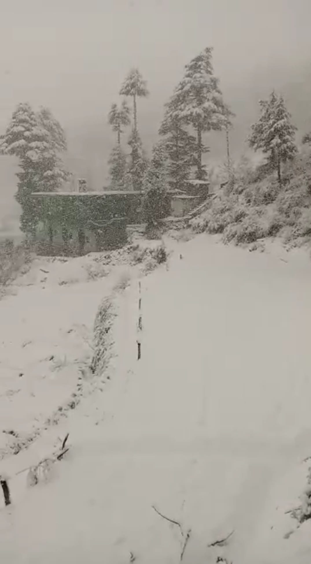 पटनीटाप में ताजा हिमपात के दृश्य:- संवाद