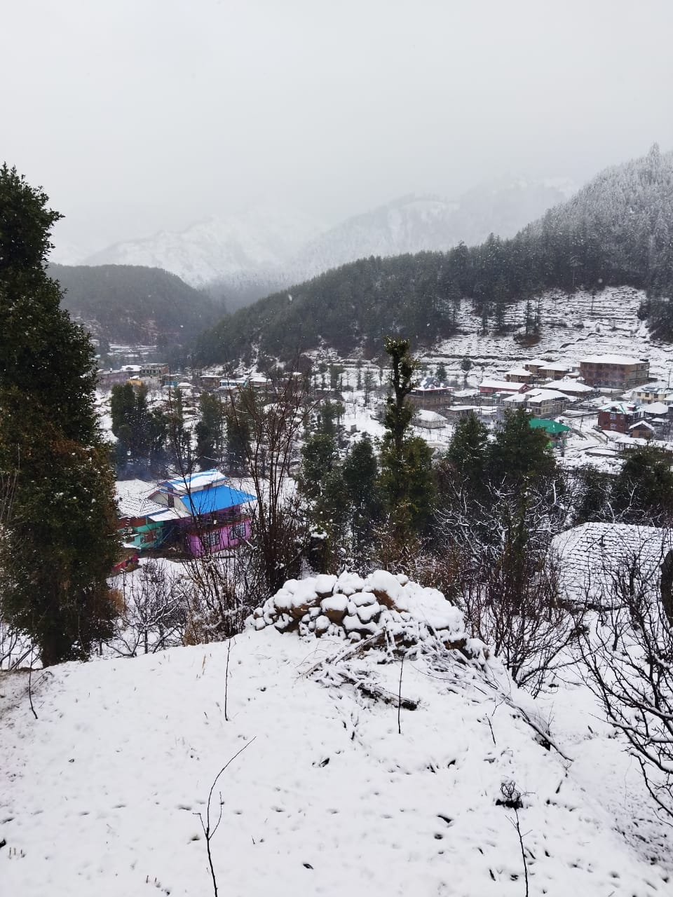मंडी के तहत थुनाग में ताजा बर्फबारी