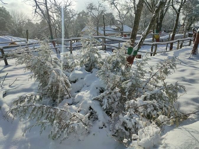 Salju Turun Di Pandavkholi – Suasana cuaca pada hari Senin juga, salju turun lagi di Pandavkholi
