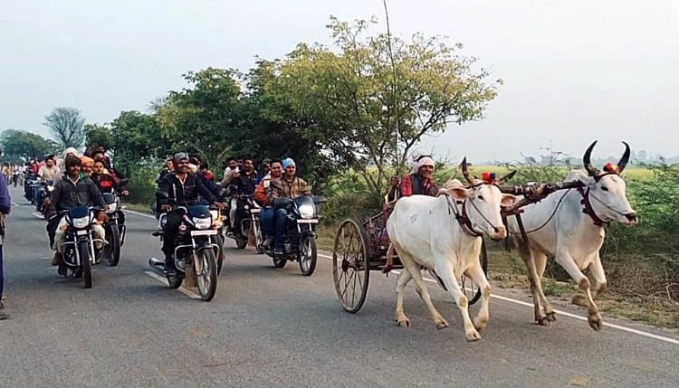 Berita Hamirpur – Gerobak sapi Lalli menduduki puncak kompetisi balapan