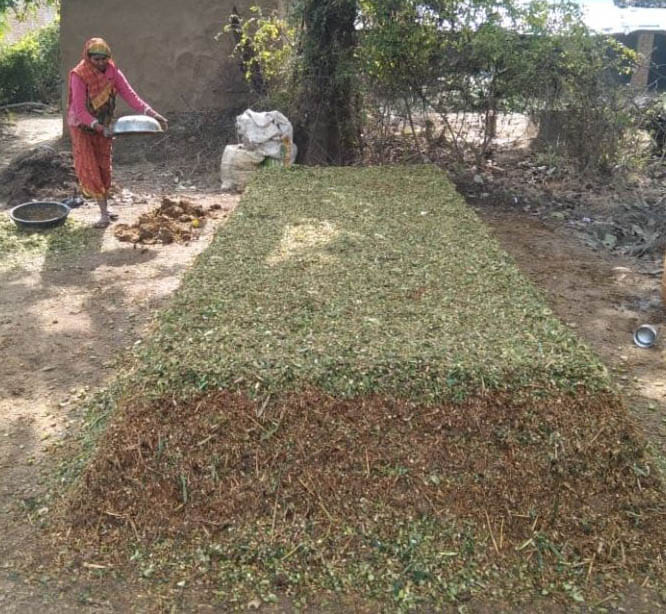 किचन गार्डन के लिए जैविक खाद तैयार करती भुजरख गांव में महिला किसान शिववती। 