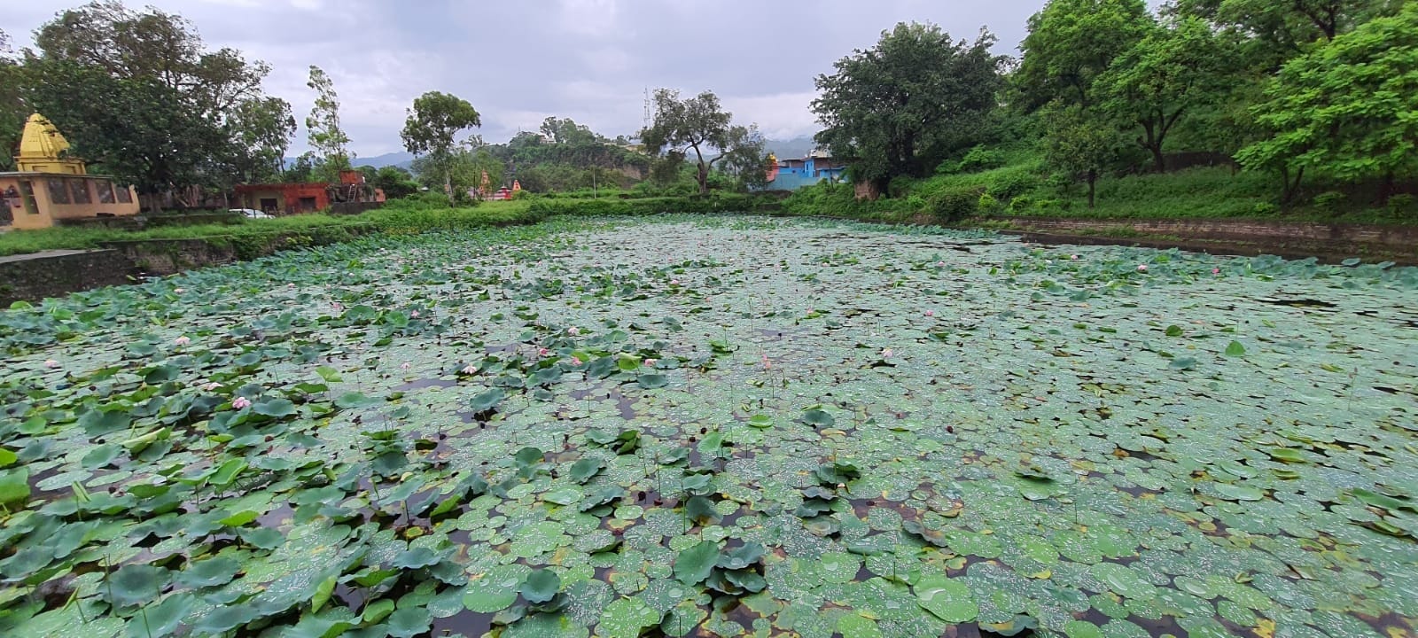 बसोहली का ऐतिहासिक रानी तालाब, संवाद