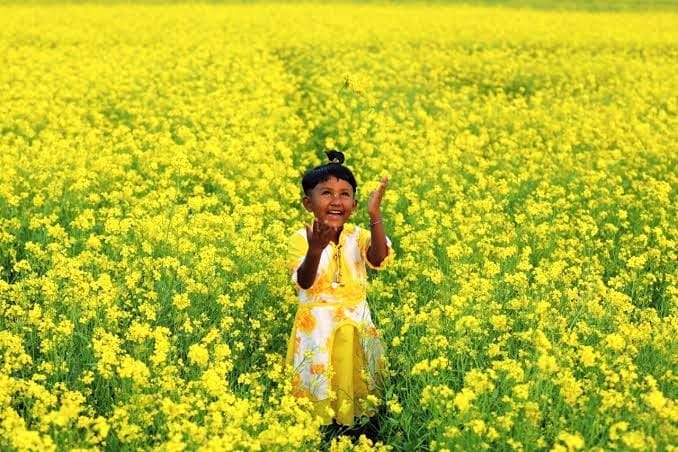 फोटो-2- वाह भई वाह कितना अच्छा मौसम है- वसंत पंचमी पर शायद चित्रकूट के खुटहा गांव में सरसों के फूल खि फोटो-2- वाह भई वाह कितना अच्छा मौसम है- वसंत पंचमी पर शायद चित्रकूट के खुटहा गांव में सरसों के फूल खि