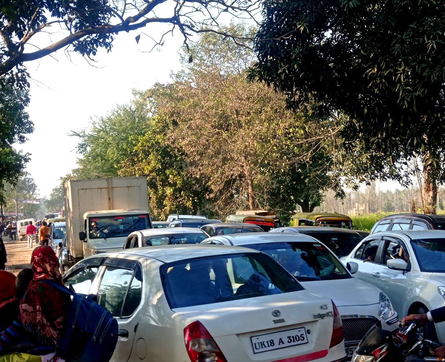 परी रोड़ पर पेड़ गिरने से लगा जाम