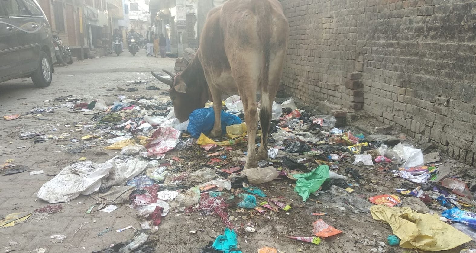 शहर के मोहल्ला नखास में सड़क किनारे फैला पड़ा कूड़ा। संवाद शहर के मोहल्ला नखास में सड़क किनारे फैला पड़ा कूड़ा। संवाद