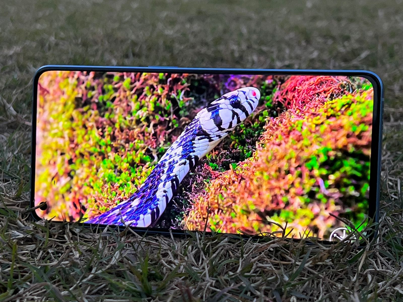 Oppo Reno 7 Pro 5G Review: मिडरेंज में एक आकर्षक लुक और अच्छे कैमरे वाला फोन