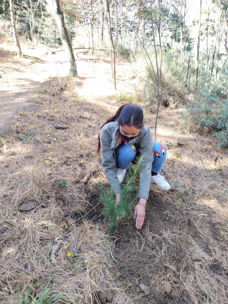 फोटो....एबीवीपी किश्तवाड़ ईकाई ने वृक्षारोपन किया।