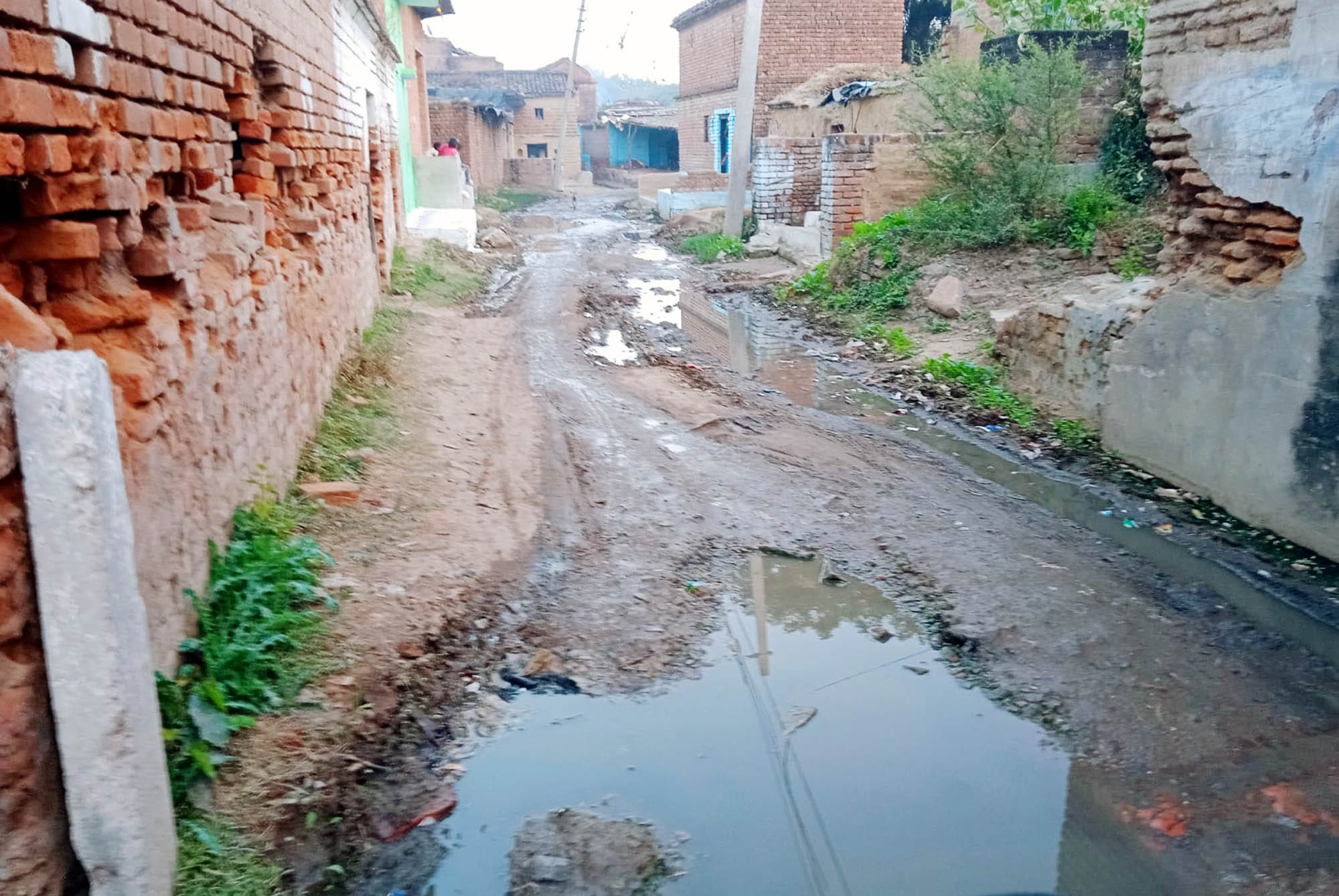 खेड़ाशिलाजीत गांव की मुख्य सड़क पर भरा कीचड़।