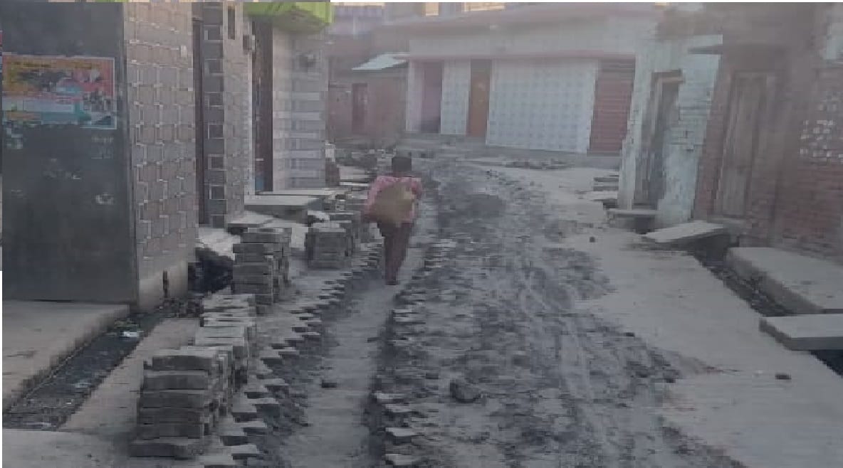 रोजा की आदर्शनगर कॉलोनी में पाइप लाइन डालने के लिए खोदी गई सड़क रोजा की आदर्शनगर कॉलोनी में पाइप लाइन डालने के लिए खोदी गई सड़क