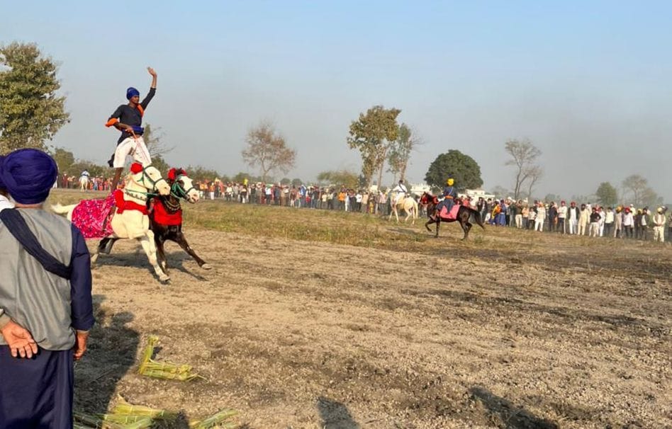 बाजपुर के गांव शिवपुरी स्थित गुरुदारा साहिब में आयोजित समागम के दौरान करतब दिखाते घुड़सवार। बाजपुर के गांव शिवपुरी स्थित गुरुदारा साहिब में आयोजित समागम के दौरान करतब दिखाते घुड़सवार।