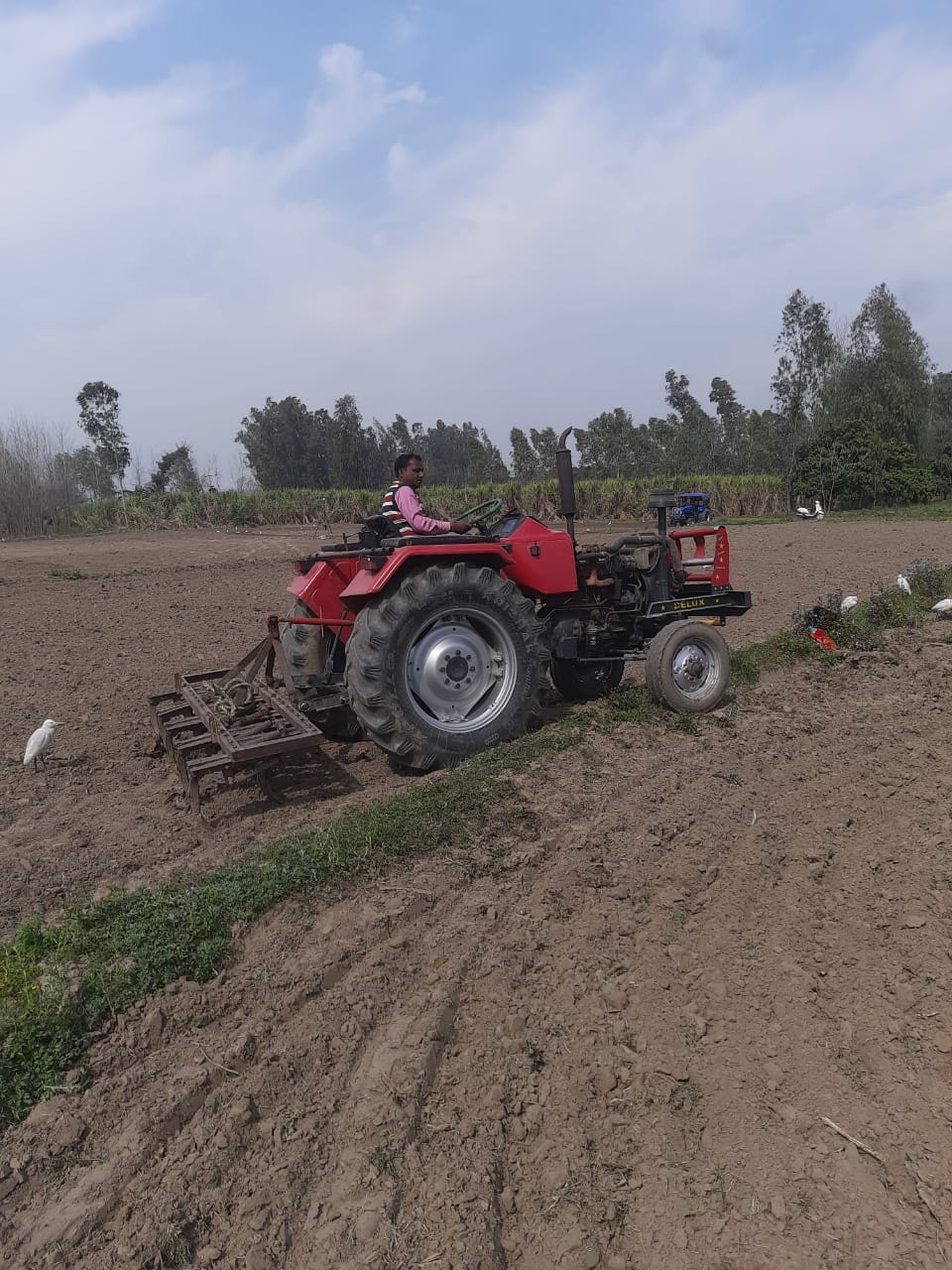 खाली खेत में गन्ना बुवाई की तैयारी करते किसान