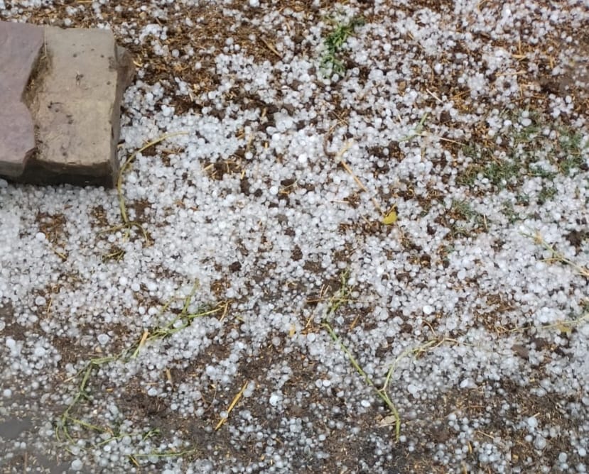 बारिश के बाद जमीन पर बिखरे ओले के टुकड़े। बारिश के बाद जमीन पर बिखरे ओले के टुकड़े।