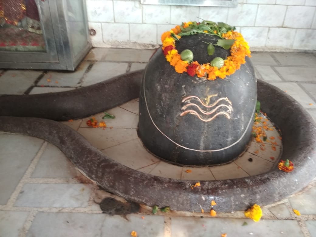 बरसी के प्राचीन शिव मन्दिर का ऐतिहासिक शिवलिंग
