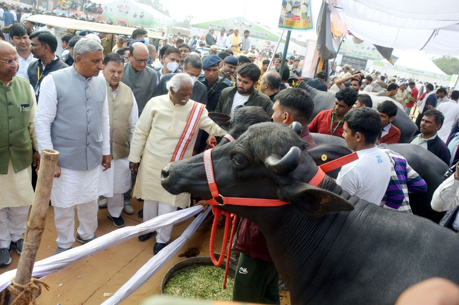 तीन दिवसीय राज्य स्तरीय पशु प्रदर्शनी में उम्दा नस्ल के पशुओं के स्टॉलों का निरीक्षण करते हरिया?
