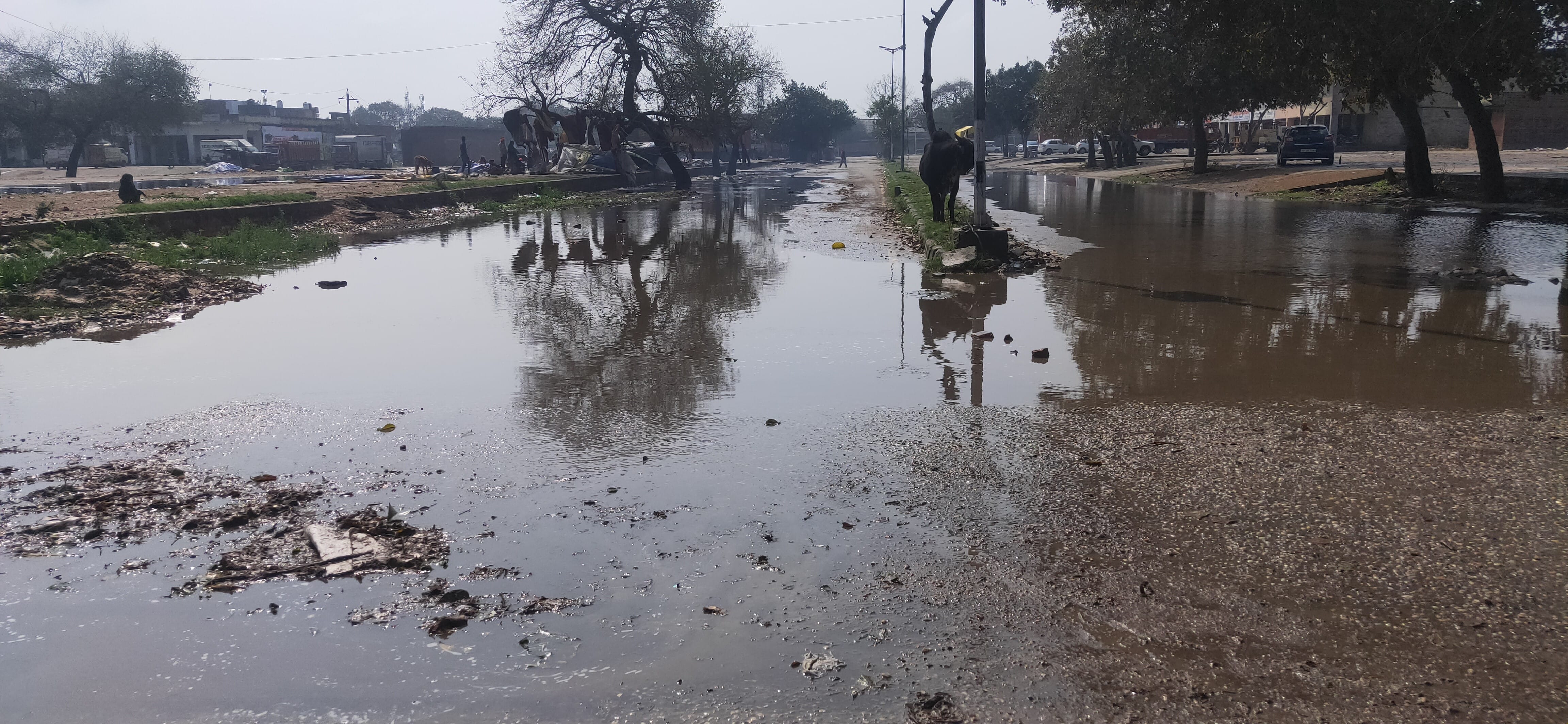 पानीपत। बरसात के बाद जमा पानी