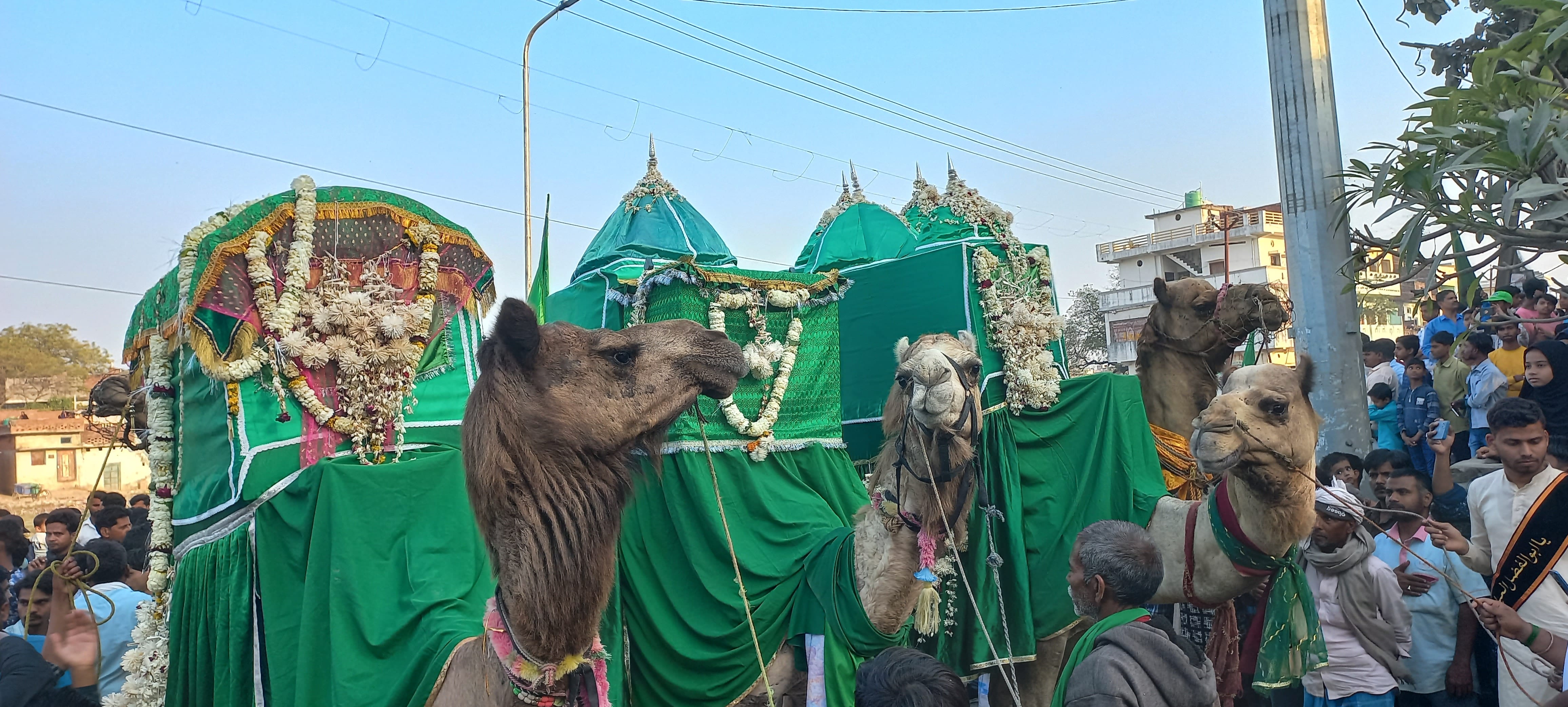 घोसी नगर के बड़ागांव में निकला अमारी का जुलूस।संवाद घोसी नगर के बड़ागांव में निकला अमारी का जुलूस।संवाद