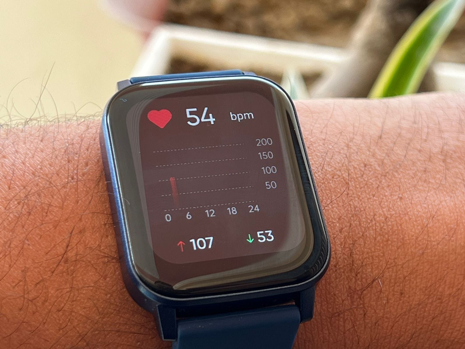 Dizo Watch 2 Sports Review: рдПрдВрдЯреНрд░реА рд▓реЗрд╡рд▓ рд╕реНрдорд╛рд░реНрдЯрд╡реЙрдЪ рдХреА рддрд▓рд╛рд╢ рд╣реЛрдЧреА рдкреВрд░реА
