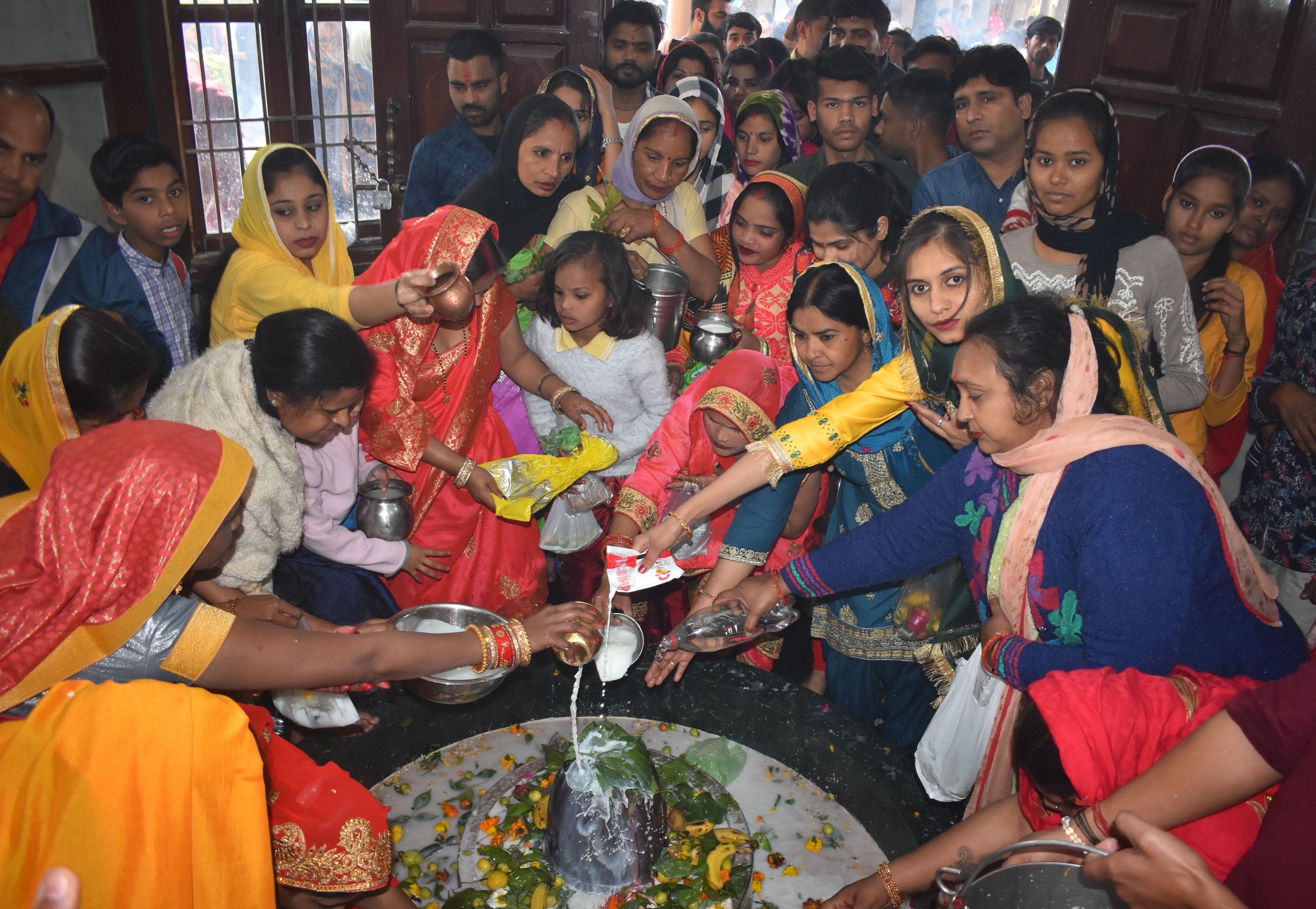 पानीपत। पानीपत के प्राचीन देवी मंदिर में महाशिवरात्री के उपक्षय में शिवलिंग पर जल व दूध चढ़ाते ह?