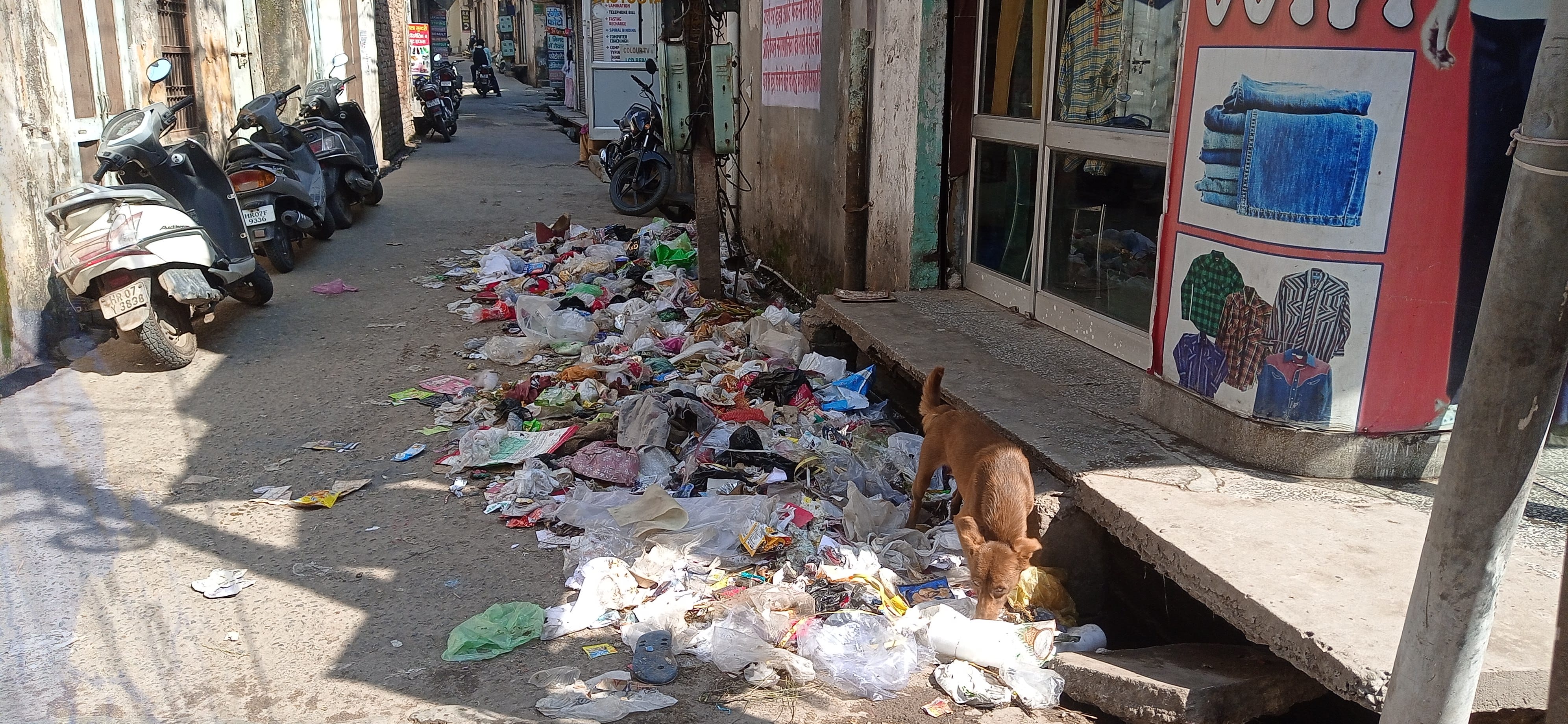 पत्थरों वाली गली में पसरी गंदगी में मुंह मारता कुत्ता। संवाद