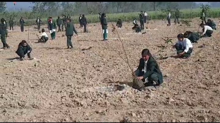 बली कुतुबपुर में ऑक्सीजन बाग में पौधरोपण करतीं छात्राए। संवाद बली कुतुबपुर में ऑक्सीजन बाग में पौधरोपण करतीं छात्राए। संवाद