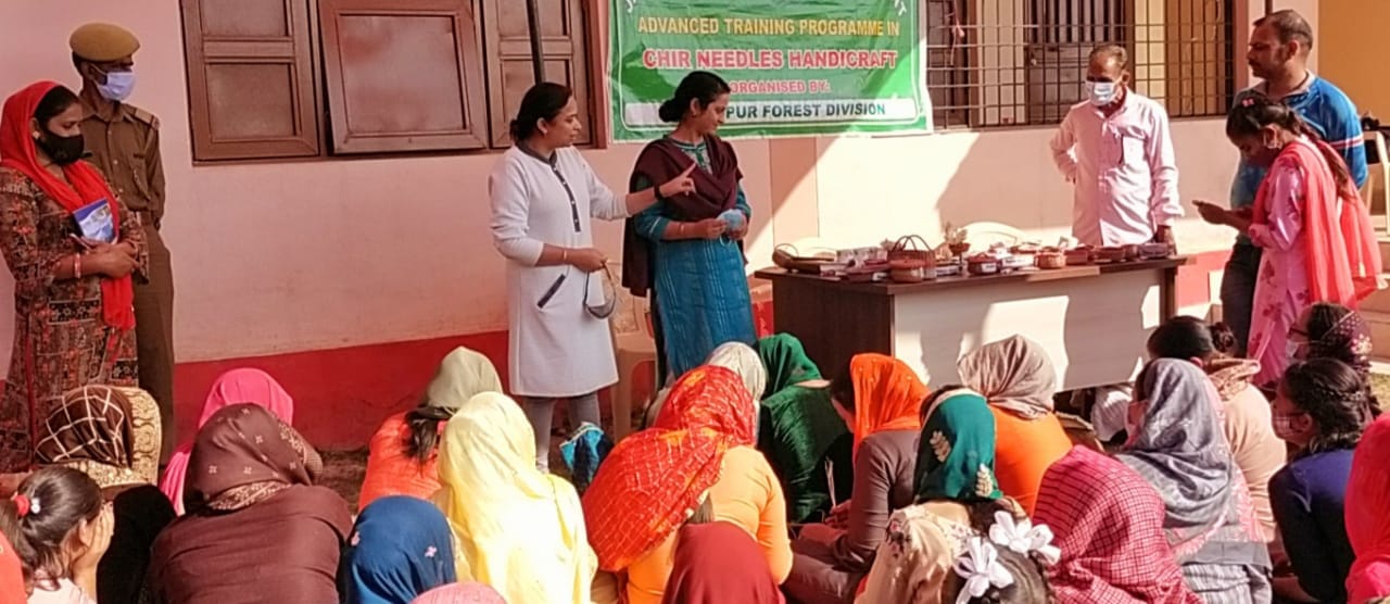उधमपुर-सुलगार पंचायत में आयोजित वन विभाग के ट्रेनिंग कैंप में महिलाओं को जानकारी देते अधिकारी व ?