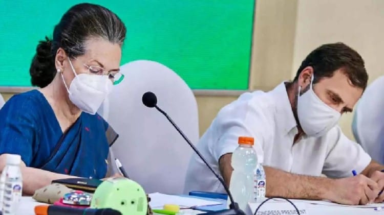 सोनिया गांधी, राहुल गांधी
