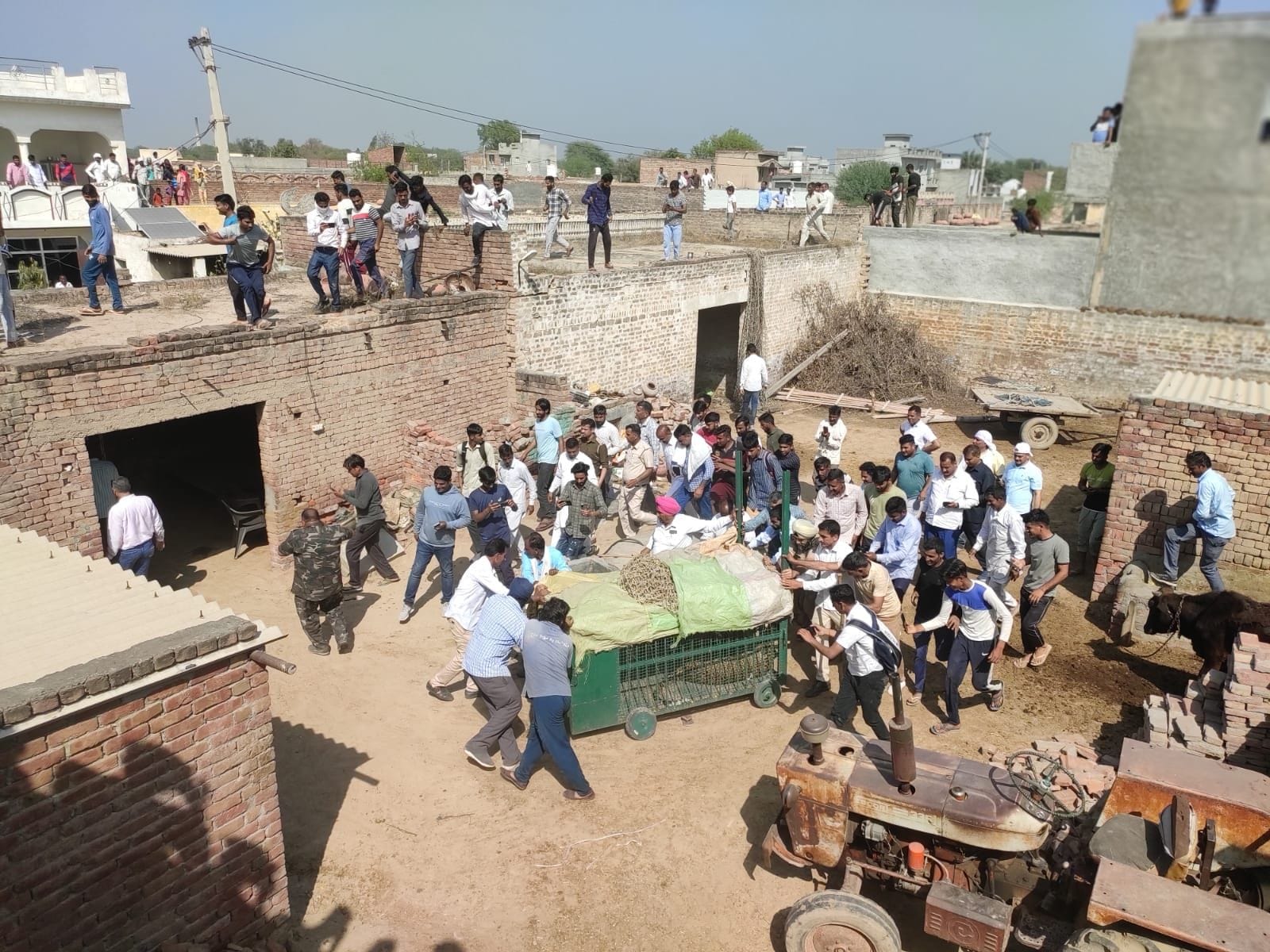 गांव कुकड़ावाली में घुसे तेंदुए को पिंजरे में डालकर ले जाते टीम के सदस्य। गांव कुकड़ावाली में घुसे तेंदुए को पिंजरे में डालकर ले जाते टीम के सदस्य।