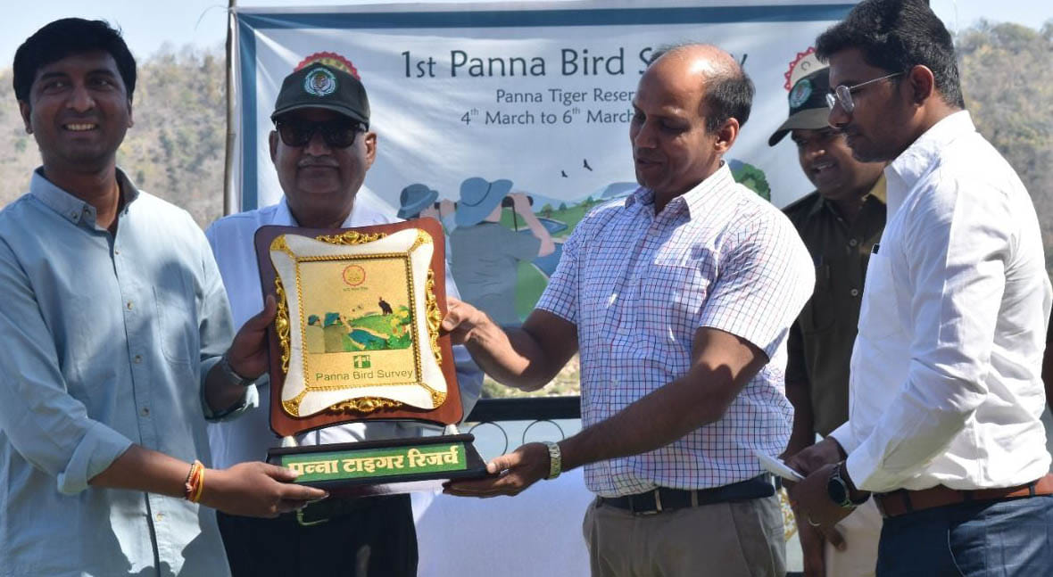 प्रथम पन्ना बर्ड (चिड़िया) सर्वे का प्रमाण पत्र देते क्षेत्र संचालक उत्तम कुमार शर्मा। संवाद 