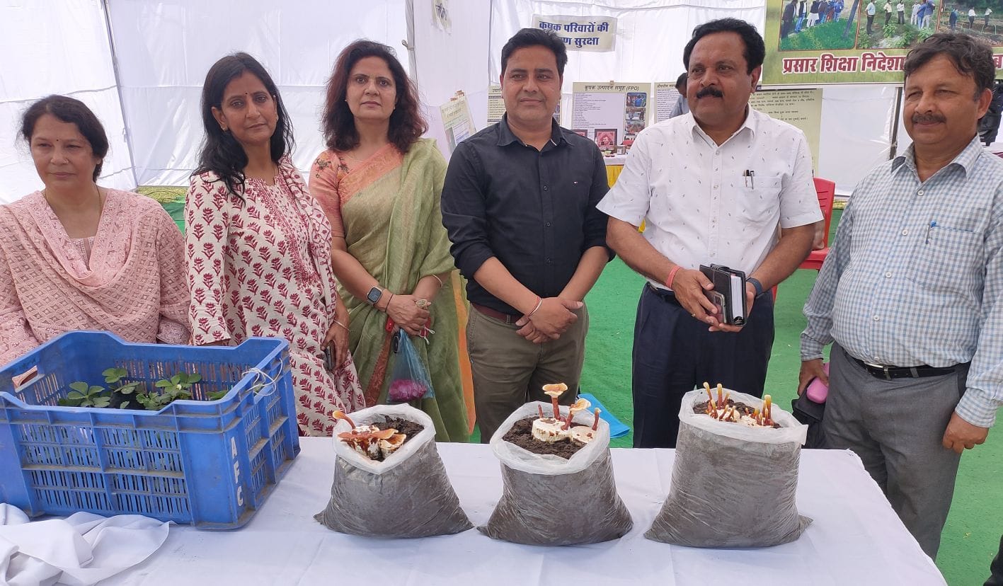 स्टॉल पर गैनोडर्मा मशरूम की जानकारी देते डॉ. अलंकार सिंह। स्टॉल पर गैनोडर्मा मशरूम की जानकारी देते डॉ. अलंकार सिंह।