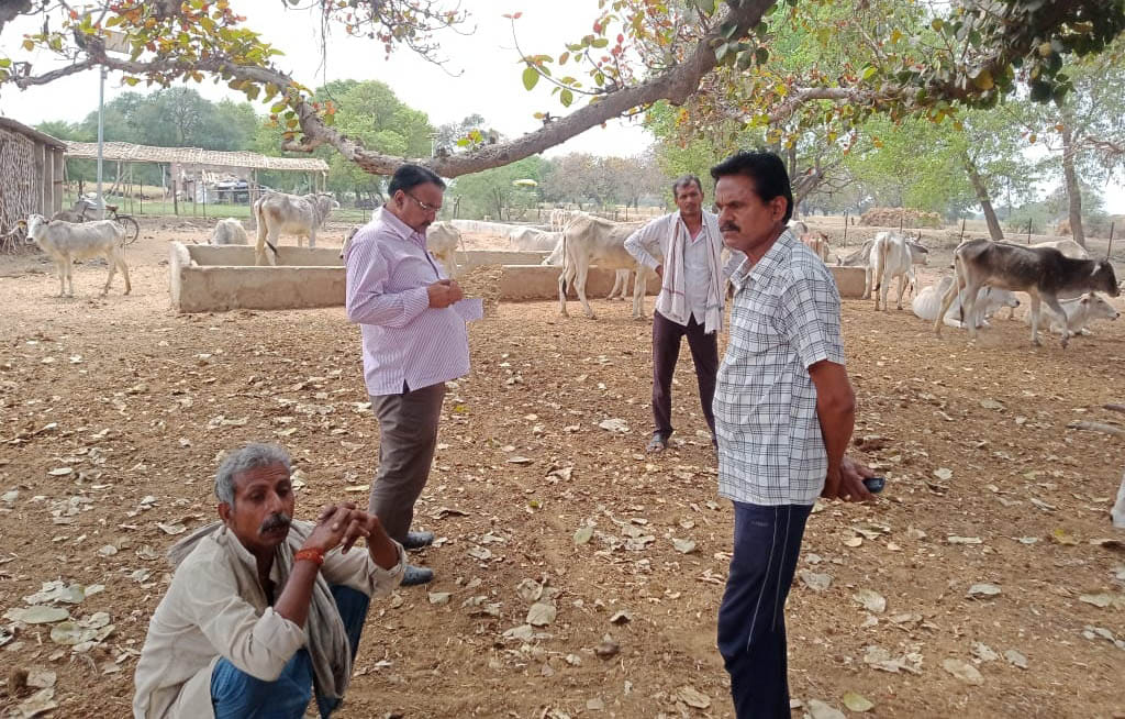 तेरहीमाफी गोशाला का निरीक्षण करते एडीओ पंचायत विनोद कुमार झा। 