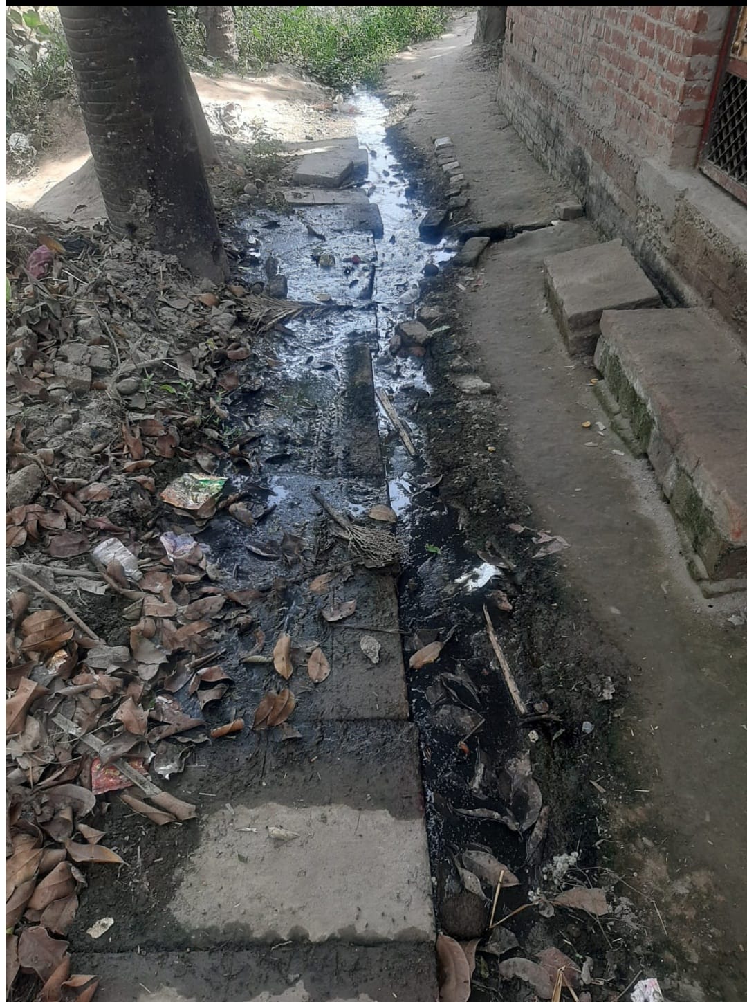 निषाद नगर में क्षतिग्रस्त नालियों के कारण सड़क पर बह रहा गंदा पानी। संवाद निषाद नगर में क्षतिग्रस्त नालियों के कारण सड़क पर बह रहा गंदा पानी। संवाद