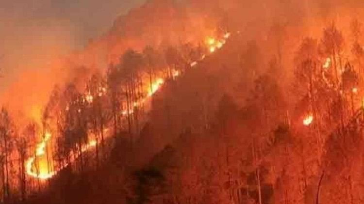 Soulagement des incendies de forêt en raison des vents humides venant du sud, réduction inattendue des incendies