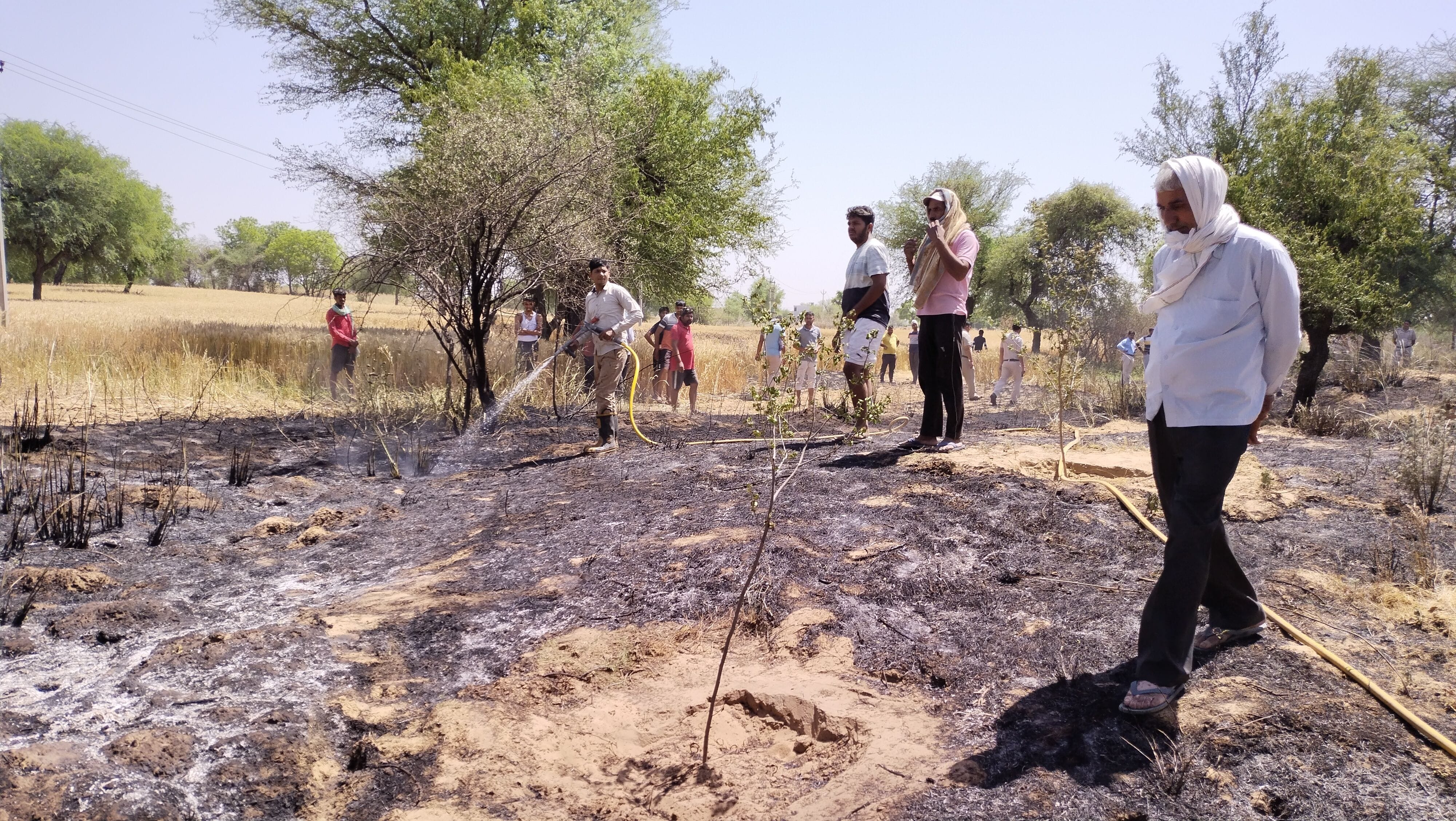 गांव माजरा कलां में दमकल विभाग के कर्मचारी आग बुझाते हुए। संवाद गांव माजरा कलां में दमकल विभाग के कर्मचारी आग बुझाते हुए। संवाद