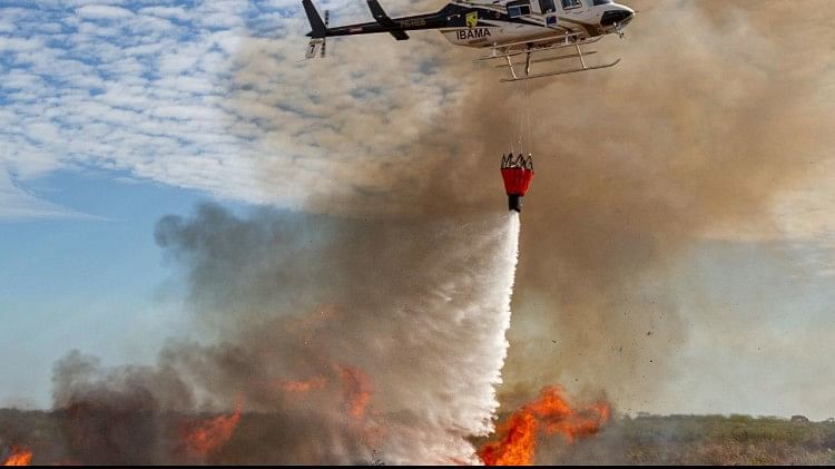 राजस्थान के जंगल में लगी आग को बुझाने के लिए हेलीकॉप्टन का सहारा लेना पड़ा।