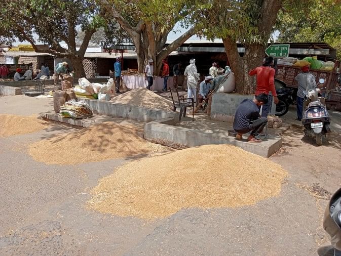 Auraiya News, voyant une affaire rentable, vendant du blé sur le marché