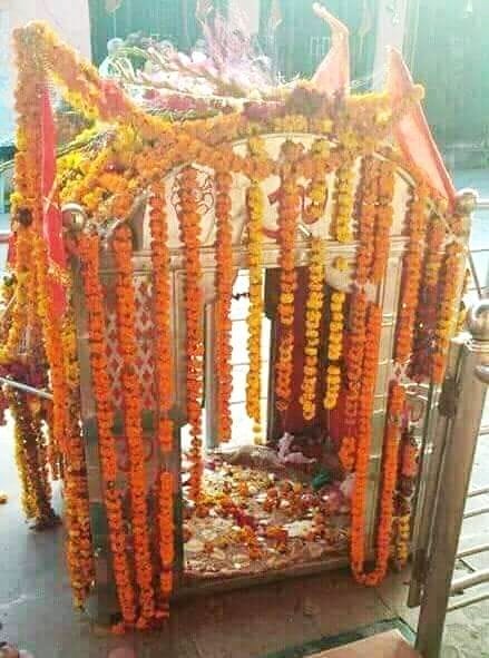 काशीपुर में मां बाल सुंदरी देवी का डोला जिसमें मां भगवती सवार होकर मंदिर जाएंगी।