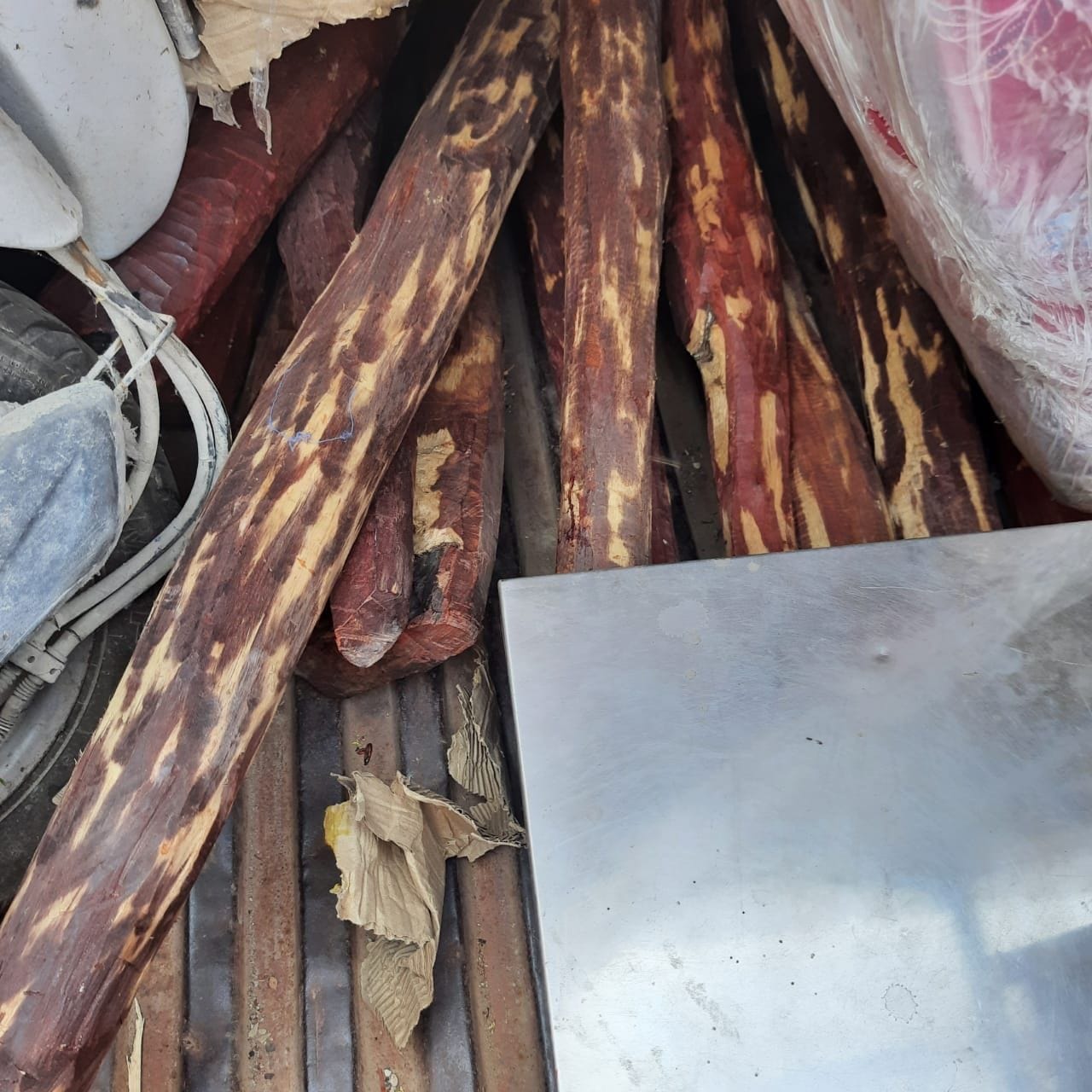 हिसार। कैंटर के अंदर रखी हुई लाल चंदन की लकड़ी। हिसार। कैंटर के अंदर रखी हुई लाल चंदन की लकड़ी।