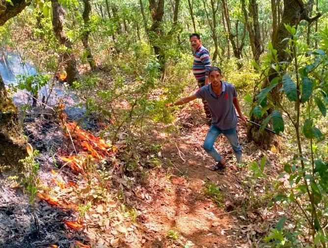 Kemudian Hutan Punethi Meledak Menjadi Api