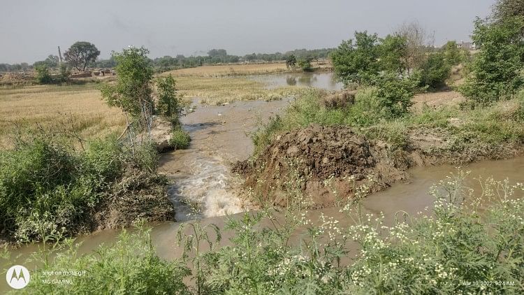 Auraiya News, 20 cultures Bigha submergées en raison de la coupe du fossé de Bamba