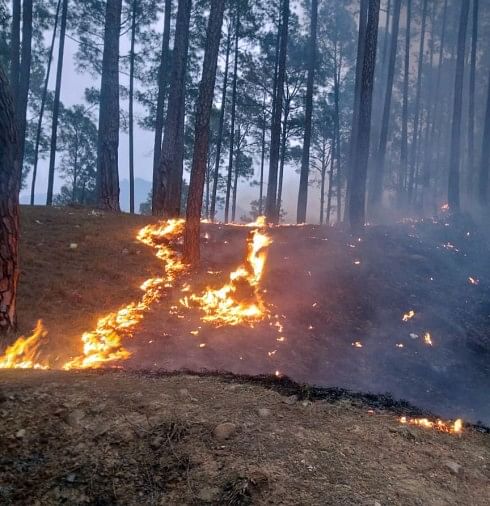 Kebakaran Hutan Di Pithauragarh – 69,50 hektar kawasan hutan terbakar dalam 43 insiden kebakaran di Pithoragarh