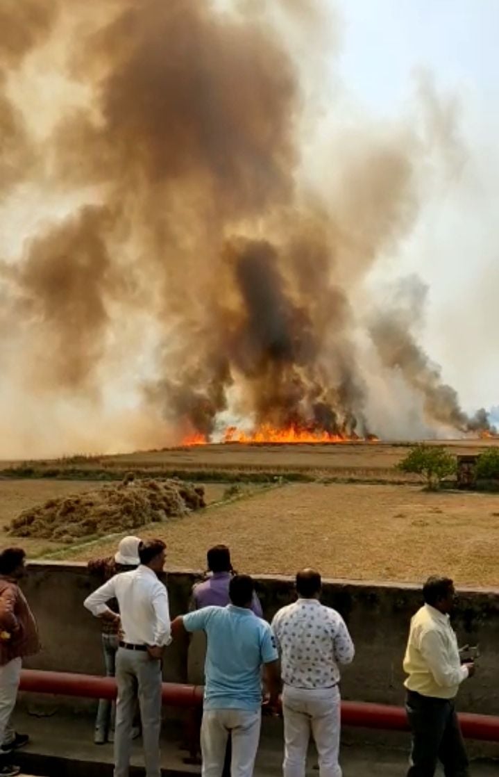 सबोली में गेहूं की फसल में आग लगने के बाद उठतीं लपटें। संवाद सबोली में गेहूं की फसल में आग लगने के बाद उठतीं लपटें। संवाद