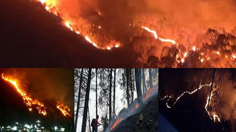 Kebakaran hutan tak terkendali di gunung Varunavat: 88 tempat di Uttarakhand dalam cengkeraman kebakaran hutan, pekerja hutan hangus, lihat dalam gambar
