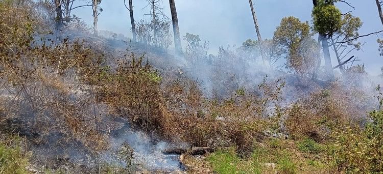 Kebakaran Hutan Di 32 Tempat Di Kumaun – Di Kumaon 32 Tempat Terbakar Dalam 12 Jam