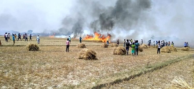 Le feu a détruit 100 Bighas de récolte de blé