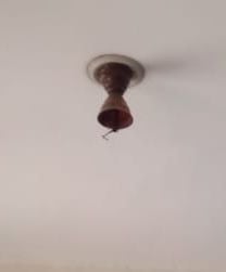फोटो-07- वार्ड में नदारद सीलिंग फैन फोटो-07- वार्ड में नदारद सीलिंग फैन