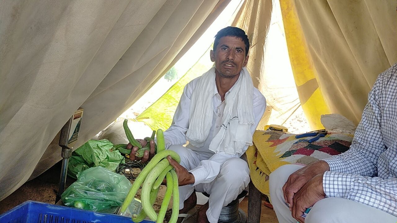 तैयार सब्जियों को बेचता हुए किसान