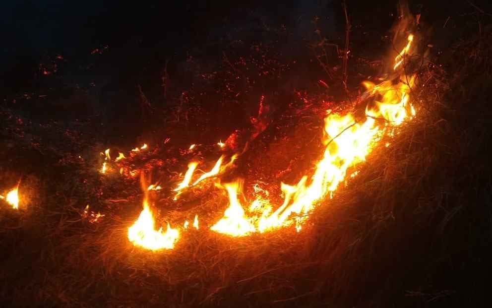 कपकोट के चीराबगड़ गांव के जंगल में लगी आग। विज्ञप्ति कपकोट के चीराबगड़ गांव के जंगल में लगी आग। विज्ञप्ति