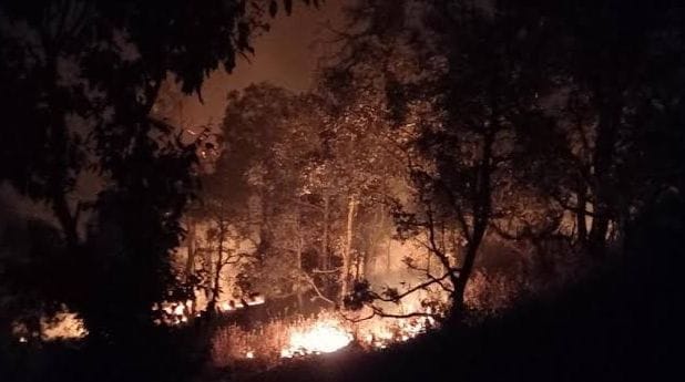 अल्मोड़ा कोसी के जंगलों में लगी आग अल्मोड़ा कोसी के जंगलों में लगी आग